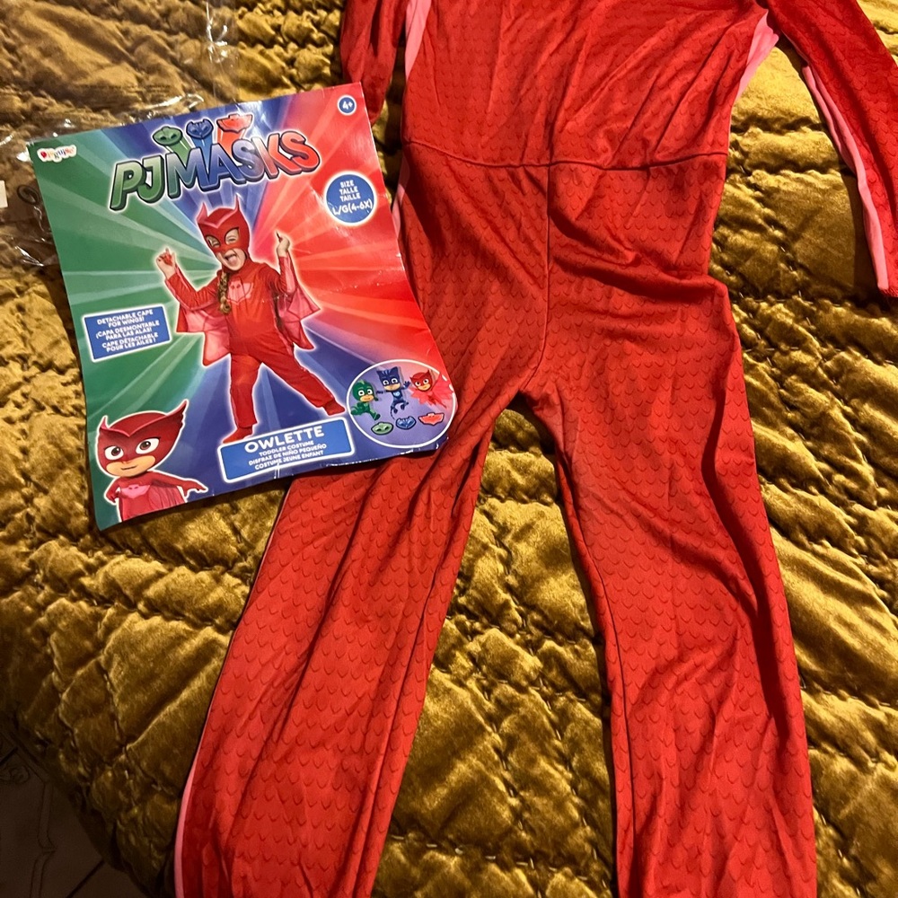 Pjmasks Halloween costume